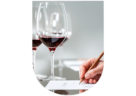 Dégustation Vins Primeurs : noter et comparer les vins Primeurs